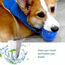 Juguete de perro con chillido de TPR, pelota con chillido de alta elasticidad, pelota con punta blanda, pelota limpiadora dental flotante y resistente al masticado para perros