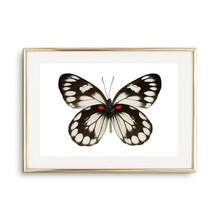 1pc Tranh Canvas Nghệ Thuật Treo Tường Hình Con Bướm Áp Phích Và Tranh In Sinh Vật Đẹp Trang Trí Phòng Khách Phòng Ngủ Quà Tặng Cho Người Yêu Côn Trùng Không Có Khung - Nhiều màu - Xem 26