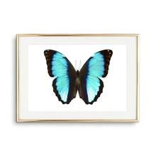 1pc Tranh Canvas Nghệ Thuật Treo Tường Hình Con Bướm Áp Phích Và Tranh In Sinh Vật Đẹp Trang Trí Phòng Khách Phòng Ngủ Quà Tặng Cho Người Yêu Côn Trùng Không Có Khung - Nhiều màu - Xem 35