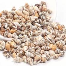 30/40/50 克/包海螺虎贝片钻珠吊坠，简约时尚项链装饰贝壳，DIY 珠宝制作 - 彩色 - 查看 7
