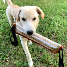 1pc - Dog Tug Toy Dog Bite Jute Pillow Training Toy With 2 Strong Handles