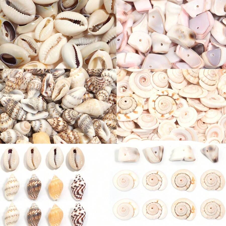 30/40/50 克/包海螺虎贝片钻珠吊坠，简约时尚项链装饰贝壳，DIY 珠宝制作 - 彩色 - 查看 1