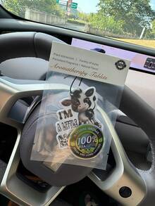 汽车扩散器香味吊坠挂饰空气清新剂，黑糖后视镜装饰，“我有点喜怒无常” - 洲際酒店香味 - 查看 4