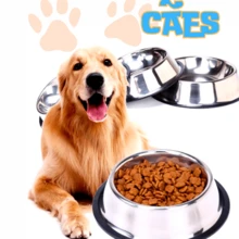Cat Dog Feeder Waterer Bowl Stainless Steel Non-Slip Bowl - Bạc - Xem 6