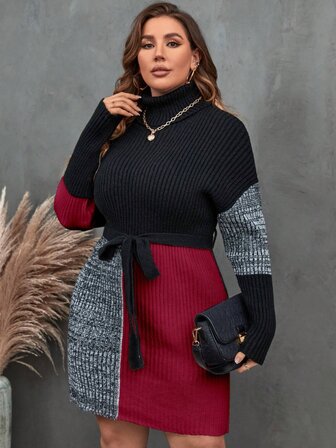 Plus Size Women's Sweater Color Block High Neck Long Sleeve Top With Belt Casual Commuter Dress Ladies Dress Stylish Comfortable Tops