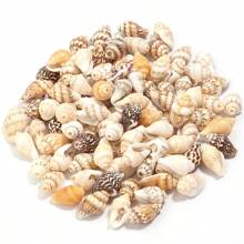 30/40/50 克/包海螺虎贝片钻珠吊坠，简约时尚项链装饰贝壳，DIY 珠宝制作 - 彩色 - 查看 14