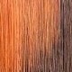 Rooted & Ombre