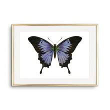 1pc Tranh Canvas Nghệ Thuật Treo Tường Hình Con Bướm Áp Phích Và Tranh In Sinh Vật Đẹp Trang Trí Phòng Khách Phòng Ngủ Quà Tặng Cho Người Yêu Côn Trùng Không Có Khung - Nhiều màu - Xem 6