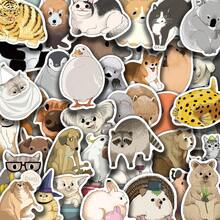 50 张元素动物贴纸乙烯基美学贴纸适用于剪贴簿、日记、笔记本电脑、保险杠、滑板、水瓶、电脑、手机、卡通、安全帽、汽车贴纸和贴花 - 彩色 - 查看 11