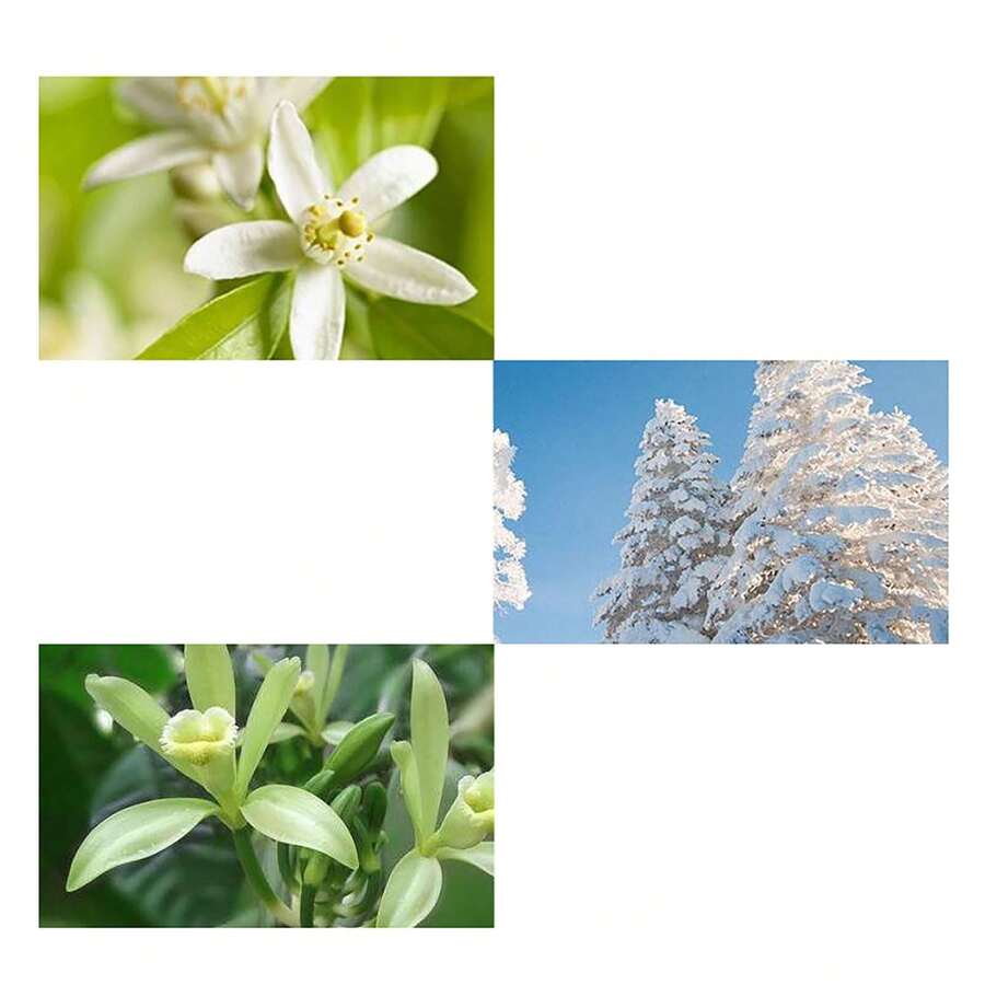 Men Perfume Elegant Refreshing Long Lasting Light Fragrance Perfume For