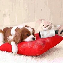240 tờ con lăn xơ vải siêu dính - Dụng cụ loại bỏ lông thú cưng - Bộ sản phẩm bao gồm 1 tay cầm và 6 lõi thay thế - màu đen - Xem 5