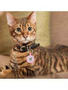 Thiết bị định vị bằng silicon cho thú cưng, thiết bị theo dõi chống thất lạc cho chó mèo, phù hợp với AirTag, cho vòng cổ/dây nịt cho thú cưng, túi xách, chìa khóa, người già, trẻ em - màu đen - Xem 7