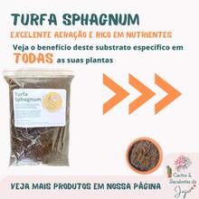 Decorative Pebbles - 棕色 - 查看 2