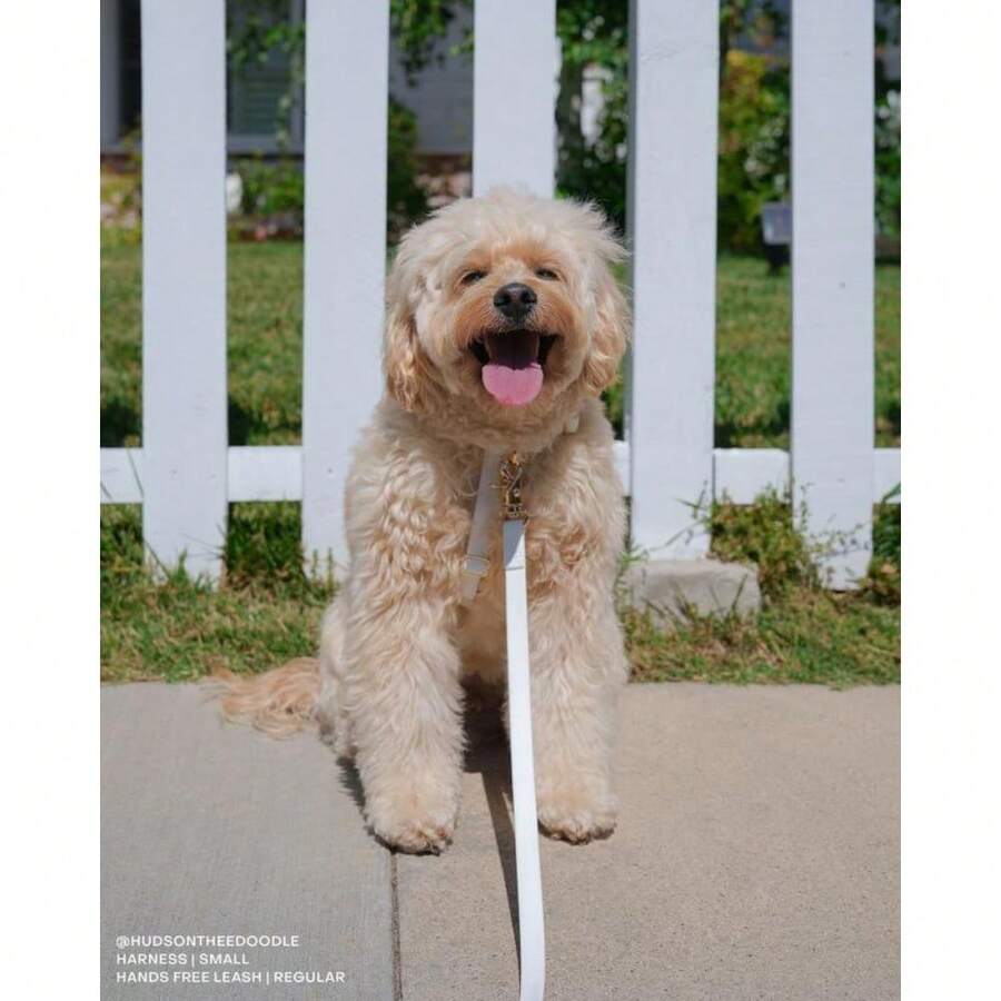 Cloud Lite Waterproof Dog Harness SHEIN USA