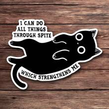 1PC Tôi có thể làm mọi thứ thông qua sự bất chấp giúp tôi mạnh mẽ hơn – Nhãn dán mèo mỉa mai vui nhộn | Nhãn dán vinyl ba chiều cho máy tính xách tay, bình nước, nhật ký | Quà tặng độc đáo cho những người yêu thích meme và người hâm mộ mèo - Nhiều màu - Xem 11