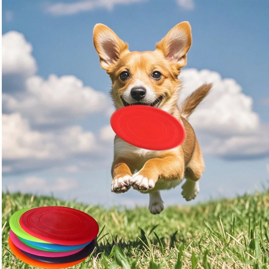 Round Training Pet Toy, Improves Agility For Dogs. Use It To Exercise Your Pet Health - Multicolor - View 1
