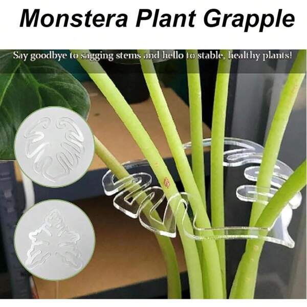 1pc/3pcs Cone-Shaped, Fan-Shaped Plant Support Frame, Suitable For Indoor And Outdoor Plant Growth. #Monstera Shaped Plant Stand