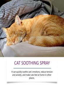Pet Cat Calming Pheromone Spray, Gentle Formula Helps Control Scratching And Inappropriate Urination Behavior - Purple - View 3
