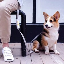 1 dây xích chó có thể thu vào, dây xích phản quang bằng nylon cho chó nhỏ vừa, dây xích đi bộ bền và chống sốc - màu đen - Xem 6