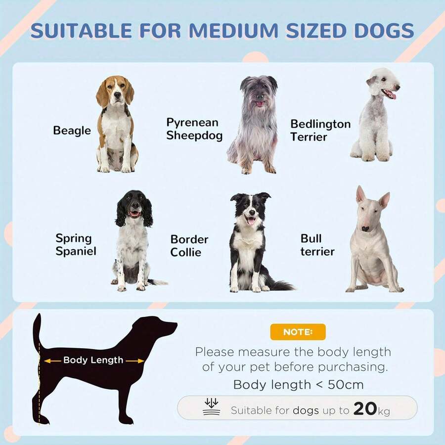 Dog Kennel Outdoor Wooden Dog House With Removable Floor, Elevated Pet