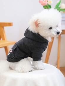 PETCIRCLE 1 件适合小型犬和猫的宠物衣服 - 可爱的小偷口袋运动衫设计 - 深灰色 - 查看 2