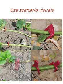 10 CÁI Nĩa hình chữ U ép cây dâu tây, cây dưa hấu chậm cố định, Nĩa nhựa ép cây dâu tây, Nĩa ép cây giống dưa và trái cây, Thanh cây nho hình chữ U, Giá đỡ cây xanh thích hợp để trồng cây và hoa, Nĩa cố định, Hỗ trợ trồng cây mọng nước - Đỏ - Xem 8