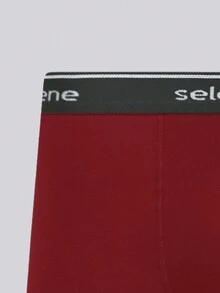 Selene Cotton Men's Boxer Briefs With Stitching 19000 - Màu Đỏ Sâu - Xem 3