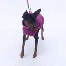 Ropa de invierno y otoño para perros, chaleco suave y cálido de forro polar para cachorros y gatos, abrigo para razas como Shih Tzu, Chihuahua, Bulldog Francés, Pug, Yorkshire