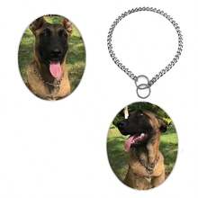 不锈钢狗项圈，狗窒息链，狗项圈，宠物金属链，用于训练和遛狗的项圈 - 銀色 - 查看 12