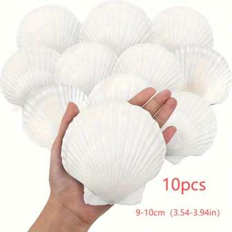 10pcs Seashells | 10+50pcs Seashells & Starfish Natural Ocean Theme DIY Craft Decoration Materials, Beach Wedding Party Home Decor, White Fan Seashell Creative Craft Set