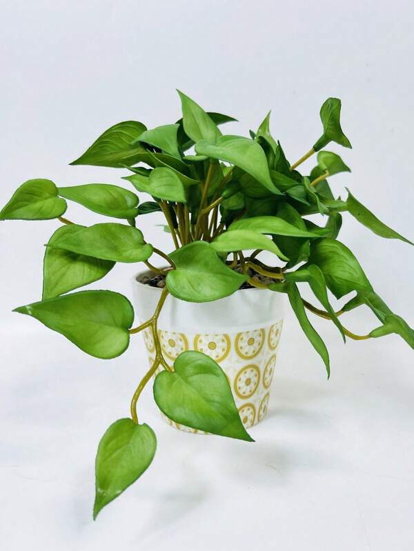 1PC/2PCS/4PCS/6PCS/8PCS Mini Like Real Artificial Plant, Valentine Day, Gift Gifts Birthday Graduation