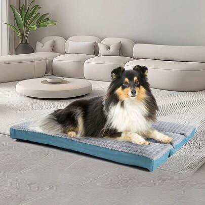 Cama removível para cães grandes, ninho para gatos, cobertor de pelúcia de alta qualidade, quente para primavera/verão, zíper oculto, fácil de limpar, design modular, adequado para cães/gatos grandes, médios e pequenos, para uso interno, externo e automotivo, azul-celeste com borda cinza claro, fábrica de roupas de cama com certificação Oeko-Tex e Sedex