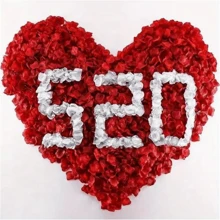 1000pcs Romantic Red Rose Petals - Decorative Swags For Wedding And Valentine's Day - Artificial Flowers For Party, Event, And Home Decoration Back To School Valentine's Day - Multicolor - View 3