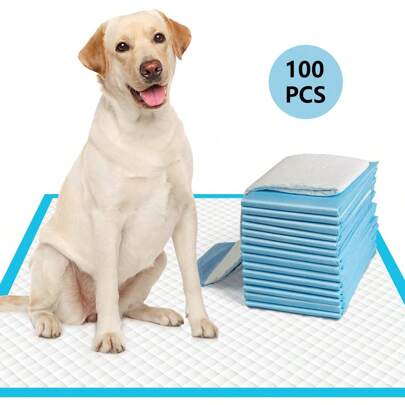 100 st Pet Pee Pads, Bulk Grossist, Tjockare Lukt-eliminerande engångsabsorberande Hund Pee Pads, Valpblöjor