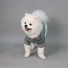 1pc Pet Striped Pajamas/Loungewear, Casual For Daily Use For Cats And Dogs - Multicolor - View 9