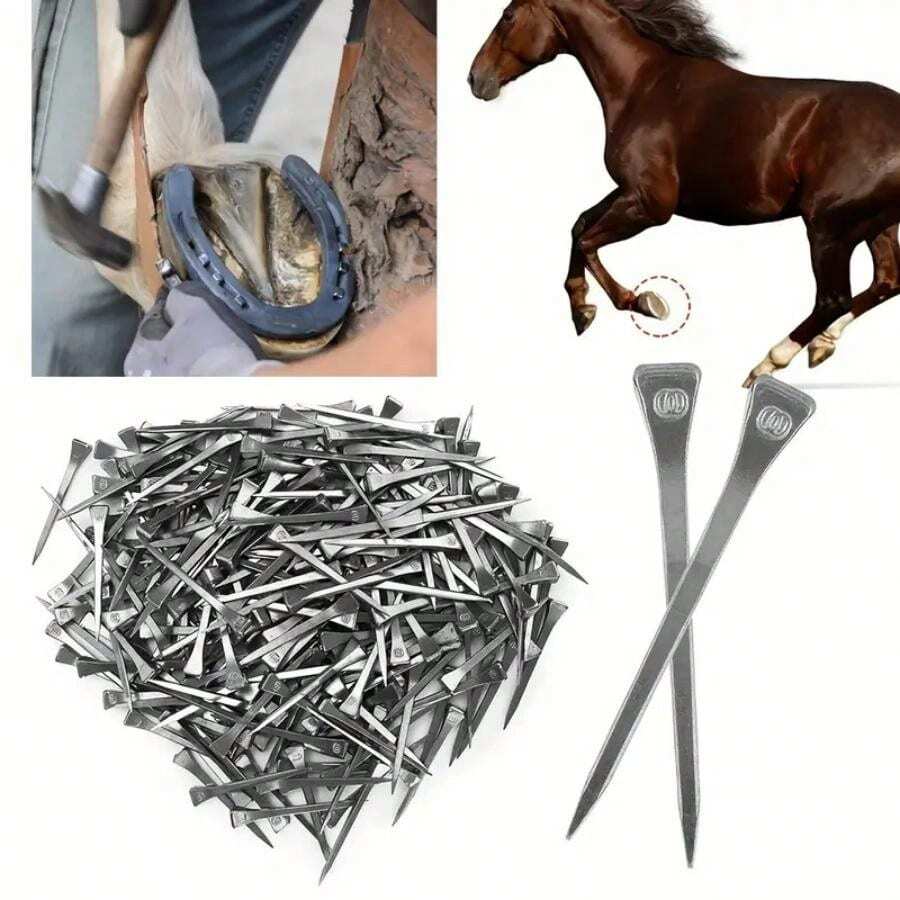 Horse Horseshoe Nails, Horse Training Equestrian Sports Supplies, Horse