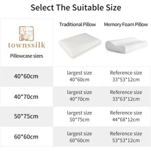 100% Natural Mulberry Silk Pillowcase 19MM With Hidden Zipper Suitable For Hair Real Silk Pillow Case With Oeko-Tex - 象牙 - 查看 4