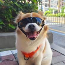 TUNKE. Pet Glasses, Dog Sunglasses Sun Protection