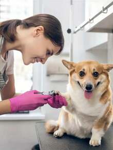 1 件装宠物指甲钳、狗指甲剪、不锈钢猫指甲刀，用于动物爪子切割和修剪用品 - 彩色 - 查看 12