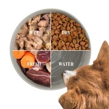 Set de 4 tazones de cerámica para gatos con diseños lindos, plato de bocadillos para gatos, adecuado para comida seca, húmeda y agua, set multipieza de alimentador para gatos, apto para gatos y perros pequeños, amigable para el bigote del gato para alimentación y bebida
