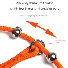 P 形链牵引绳，适用于小型中型大型犬的狗牵引绳，防拉扯、防咬、防缠结宠物用品散步装备 - 綠色 - 查看 8