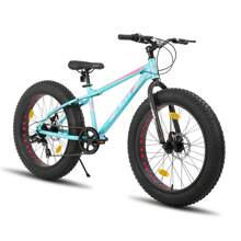 Hiland Roon 24/26 Pulgadas Fat Tire Bicicleta de Montaña para Adolescentes y Adultos, MTB con Shimano 7-Velocidades, Freno de Doble Disco, Bicicleta de Playa y Nieve (Verde, Azul, Blanco y Plata)