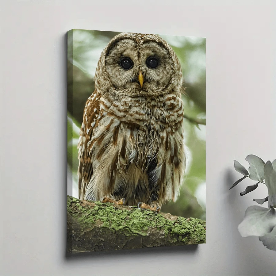 1pc Framed Canvas Poster, Owl Wall Art Canvas Paintings, Ideal Gift For Bedroom Living Room Corridor, Wall Art, Room Decoration - 彩色 - 查看 1