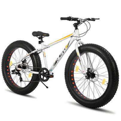 Hiland Roon 24/26 Zoll Fat Tire Mountainbike für Jugendliche & Erwachsene, MTB mit Shimano 7-Gang, Doppelscheibenbremse, Strand- und Schneefahrrad (Grün, Blau, Weiß & Silber)