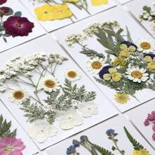 15 件浮雕 DIY 工艺品用品套件 - 手机壳、杯垫、小珠宝、树脂涂层椅子、手镯、工艺品、风铃、发夹、相框、壁挂、花瓣化妆品、香薰蜡烛、卡片、书签，用于 DIY 圣诞节、情人节、感恩节、婚礼工艺品和贴纸 - 彩色 - 查看 5