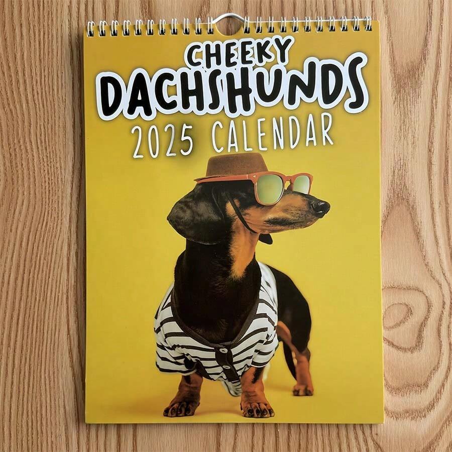 1 件 2025 年 Cheeky Dachshunds 挂历，英语，纸质材料 - 月视图狗主题组织者 - 臘腸狗 - 查看 1