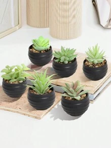 6株/套 仿真迷你多肉植物，绿色多肉，白色花盆，黑色花盆，PE材质，假植物，仿真多肉，桌面摆件，家居摆件，花园摆件，学校宿舍办公室摆件 - 彩色 - 查看 6
