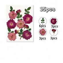 15 件浮雕 DIY 工艺品用品套件 - 手机壳、杯垫、小珠宝、树脂涂层椅子、手镯、工艺品、风铃、发夹、相框、壁挂、花瓣化妆品、香薰蜡烛、卡片、书签，用于 DIY 圣诞节、情人节、感恩节、婚礼工艺品和贴纸 - 彩色 - 查看 15