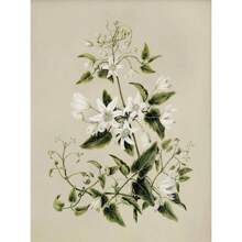 1 件复古美女风格植物花卉画廊艺术海报帆布画墙面印刷画适用于客厅家居装饰无框 - 彩色 - 查看 20