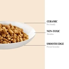 Set de 4 tazones de cerámica para gatos con diseños lindos, plato de bocadillos para gatos, adecuado para comida seca, húmeda y agua, set multipieza de alimentador para gatos, apto para gatos y perros pequeños, amigable para el bigote del gato para alimentación y bebida